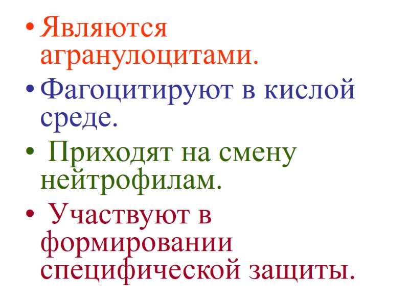 Являются агранулоцитами.  Фагоцитируют в кислой среде.  Приходят на смену нейтрофилам.  Участвуют
